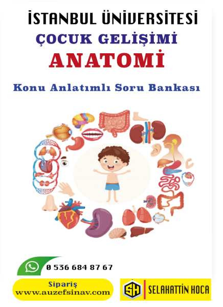 Anatomi (Çocuk Gelişimi) Konu Anlatımlı