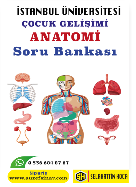 Anatomi (Çocuk Gelişimi) Soru Bankası